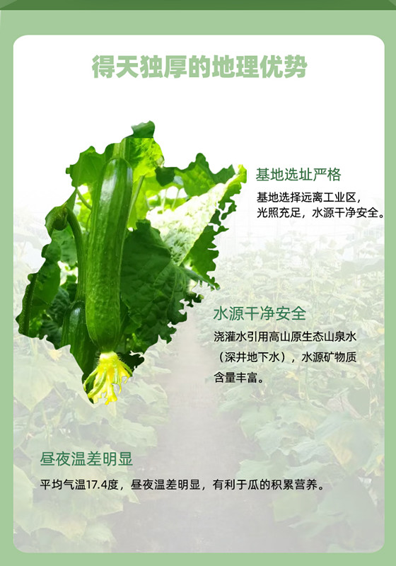 立博·ladbrokes(英国)集团官方网站