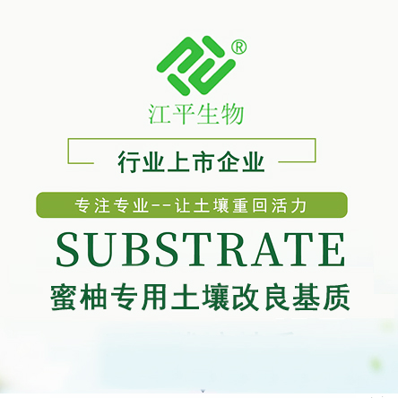 立博·ladbrokes(英国)集团官方网站